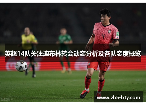 英超14队关注迪布林转会动态分析及各队态度概览 英超14队关注迪布林转会动态分析及各队态度概览