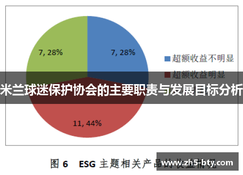 米兰球迷保护协会的主要职责与发展目标分析 米兰球迷保护协会的主要职责与发展目标分析