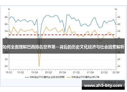 如何全面理解巴西排名世界第一背后的历史文化经济与社会因素解析