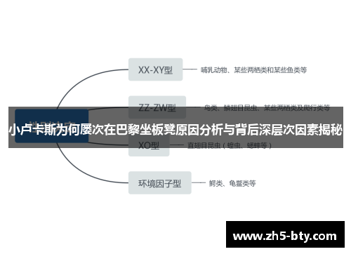 小卢卡斯为何屡次在巴黎坐板凳原因分析与背后深层次因素揭秘 小卢卡斯为何屡次在巴黎坐板凳原因分析与背后深层次因素揭秘